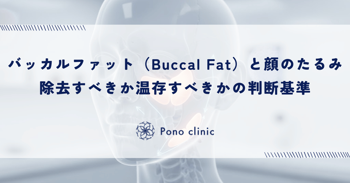 バッカルファット（Buccal Fat）と顔のたるみ｜除去すべきか温存すべきかの判断基準