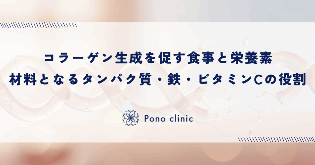 コラーゲン生成を促す食事と栄養素｜材料となるタンパク質・鉄・ビタミンCの役割