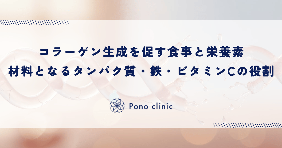 コラーゲン生成を促す食事と栄養素｜材料となるタンパク質・鉄・ビタミンCの役割