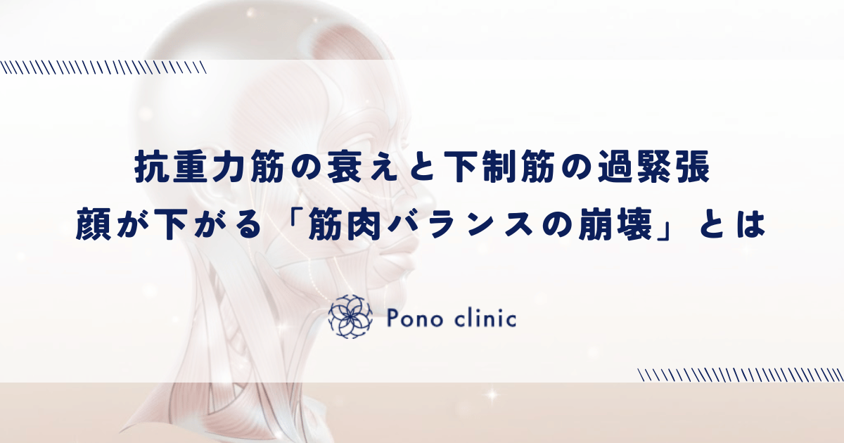 抗重力筋の衰えと下制筋の過緊張｜顔が下がる「筋肉バランスの崩壊」とは