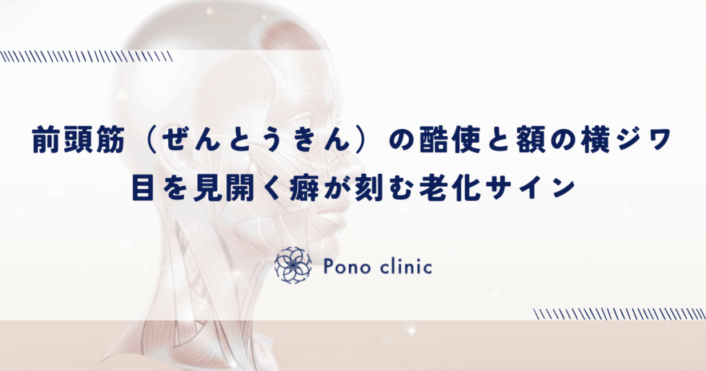前頭筋（ぜんとうきん）の酷使と額の横ジワ｜目を見開く癖が刻む老化サイン