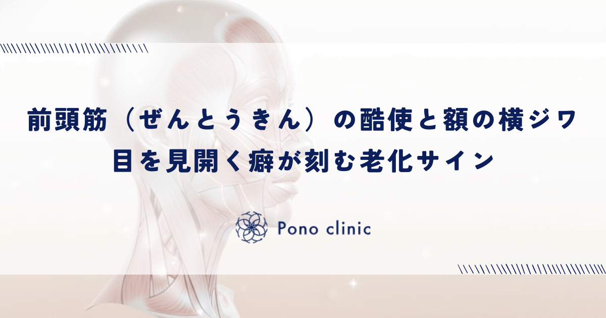 前頭筋（ぜんとうきん）の酷使と額の横ジワ｜目を見開く癖が刻む老化サイン
