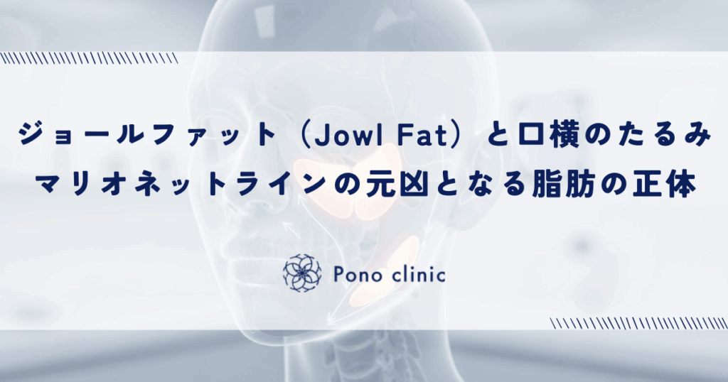 ジョールファット（Jowl Fat）と口横のたるみ｜マリオネットラインの元凶となる脂肪の正体