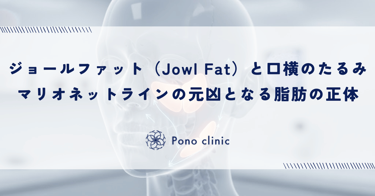 ジョールファット（Jowl Fat）と口横のたるみ｜マリオネットラインの元凶となる脂肪の正体