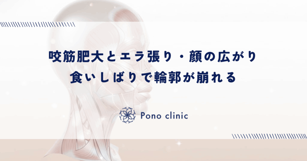 咬筋（こうきん）の肥大とエラ張り・顔の広がり｜食いしばりが招く輪郭の崩れ