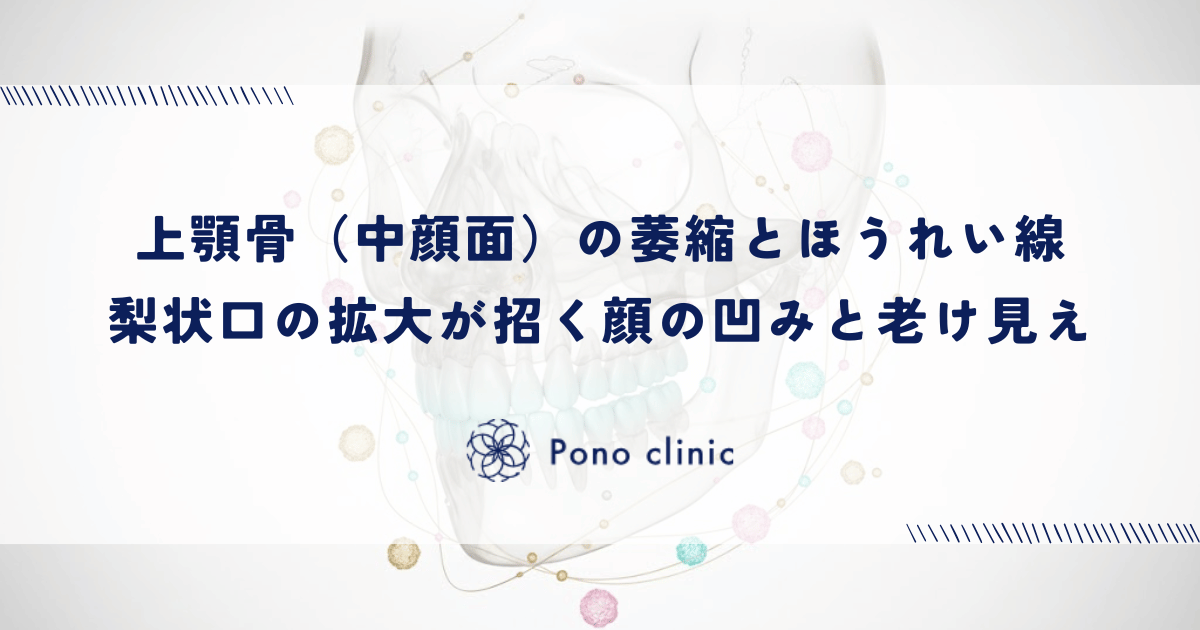上顎骨(中顔面)の萎縮とほうれい線|梨状口の拡大が招く顔の凹みと老け見え