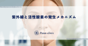 紫外線と活性酸素の発生メカニズム｜酸化ストレスが細胞を錆びさせ老化を招く
