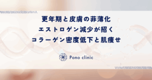 更年期と皮膚の菲薄化｜エストロゲン減少が招くコラーゲン密度低下と肌痩せ