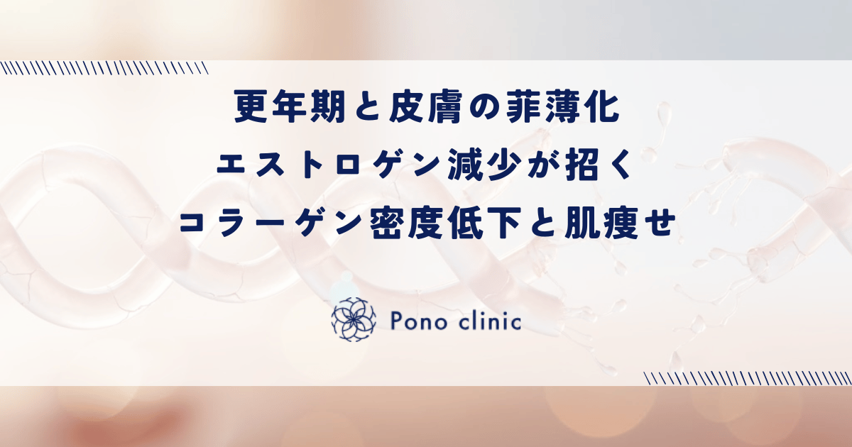 更年期と皮膚の菲薄化｜エストロゲン減少が招くコラーゲン密度低下と肌痩せ