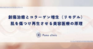 創傷治癒とコラーゲン増生（リモデル）｜あえて肌を傷つけ再生させる美容医療の原理