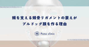 頬を支える頬骨リガメントの衰えがブルドッグ顔を作る理由