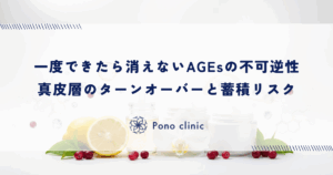 一度できたら消えないAGEsの不可逆性｜真皮層のターンオーバーと蓄積リスク