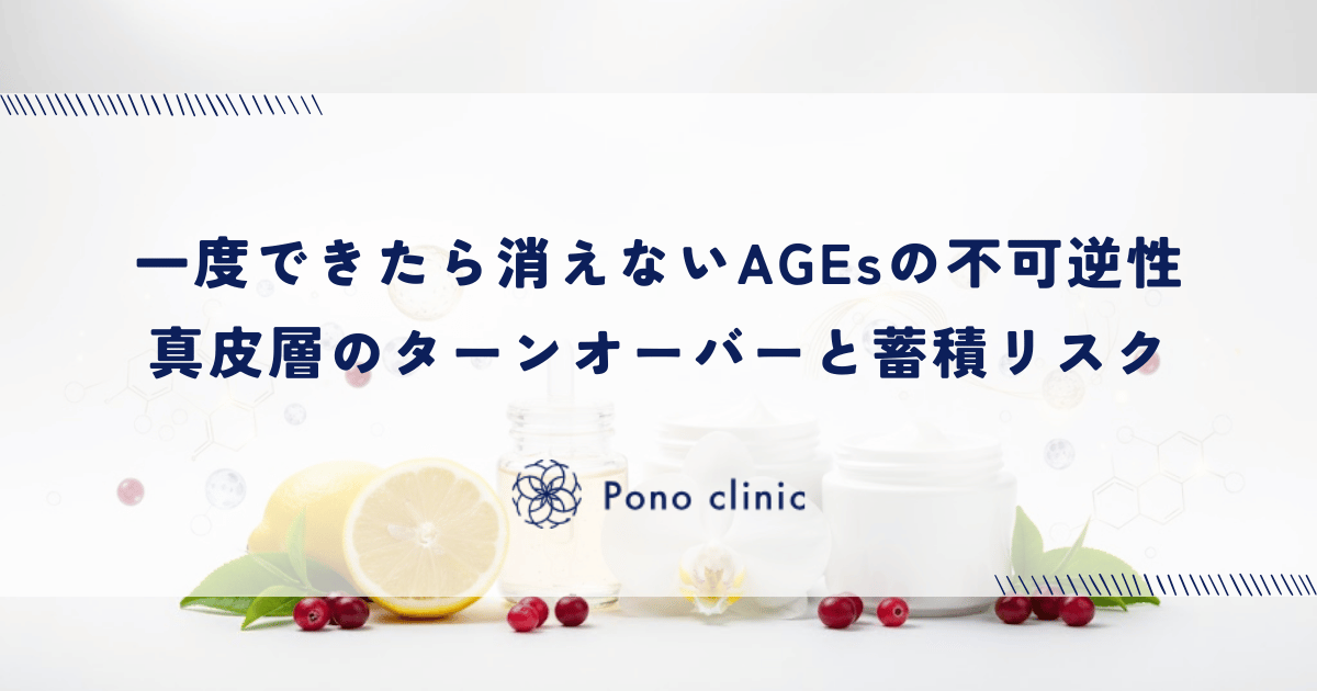 一度できたら消えないAGEsの不可逆性｜真皮層のターンオーバーと蓄積リスク