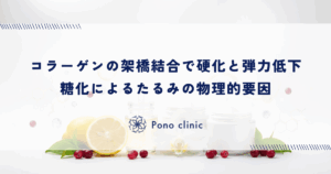 コラーゲンの「架橋結合」による硬化と弾力低下｜糖化が引き起こすたるみの物理的要因