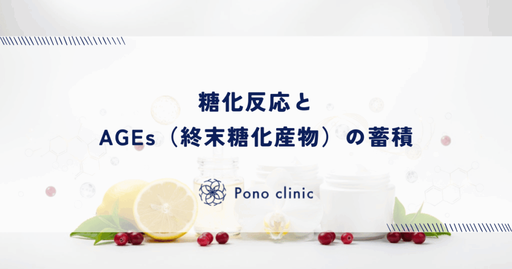 糖化反応とAGEs（終末糖化産物）の蓄積｜余分な糖がタンパク質を変性させる過程