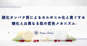 酸化タンパク質による「カルボニル化」と黄ぐすみ｜糖化とは異なる肌の変色メカニズム