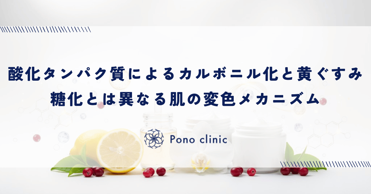 酸化タンパク質による「カルボニル化」と黄ぐすみ｜糖化とは異なる肌の変色メカニズム