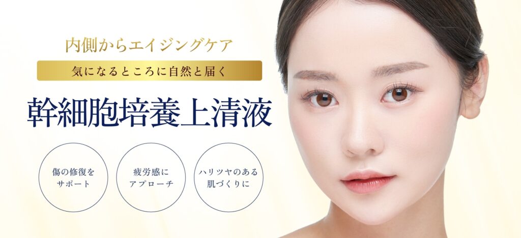 幹細胞培養上清液-一覧