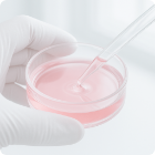 幹細胞培養上清液-icon