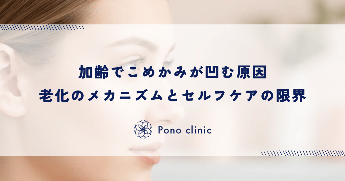 加齢でこめかみが凹む原因は「側頭筋」と「頭蓋骨」の萎縮|老化のメカニズムとセルフケアの限界