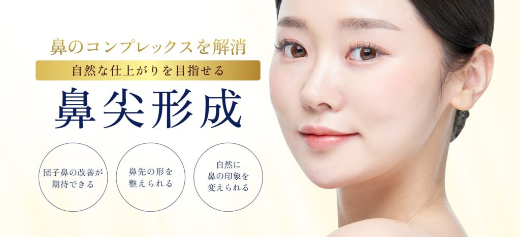 鼻尖形成-一覧