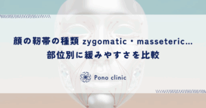 顔の靭帯の種類｜zygomatic・masseteric…部位別に緩みやすさを比較