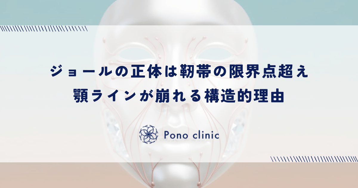 ジョール(ブルドッグ顔)の正体は靭帯の限界点超え|顎ラインが崩れる構造的理由