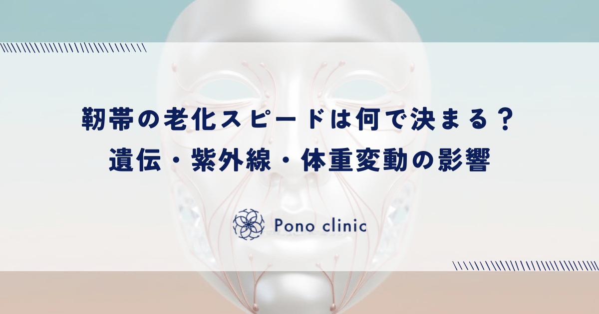 靭帯の老化スピードは何で決まる？遺伝・紫外線・体重変動の影響