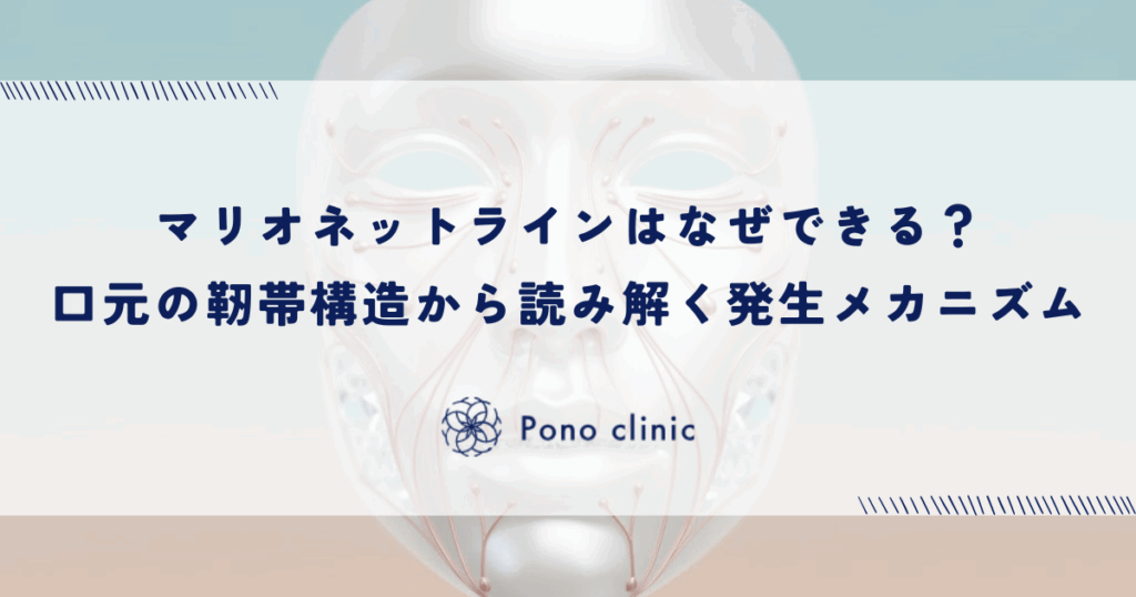 マリオネットラインはなぜできる？口元の靭帯構造から読み解く発生メカニズム