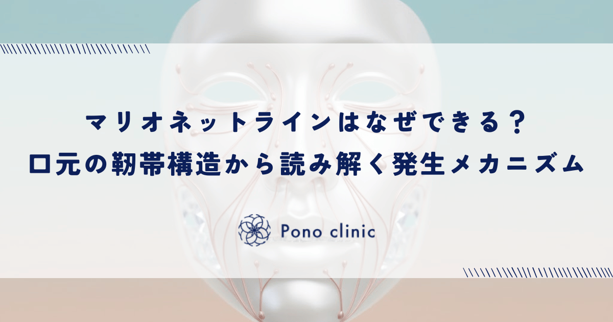 マリオネットラインはなぜできる?口元の靭帯構造から読み解く発生メカニズム