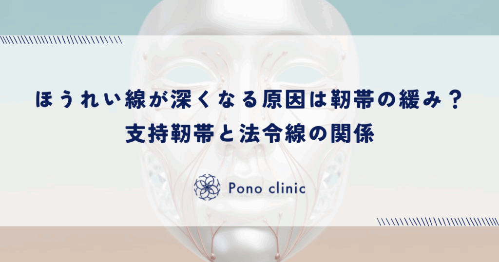 ほうれい線が深くなる本当の原因は靭帯の緩み？支持靭帯と法令線の関係