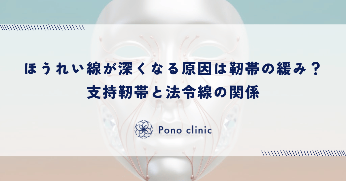 ほうれい線が深くなる本当の原因は靭帯の緩み?支持靭帯と法令線の関係