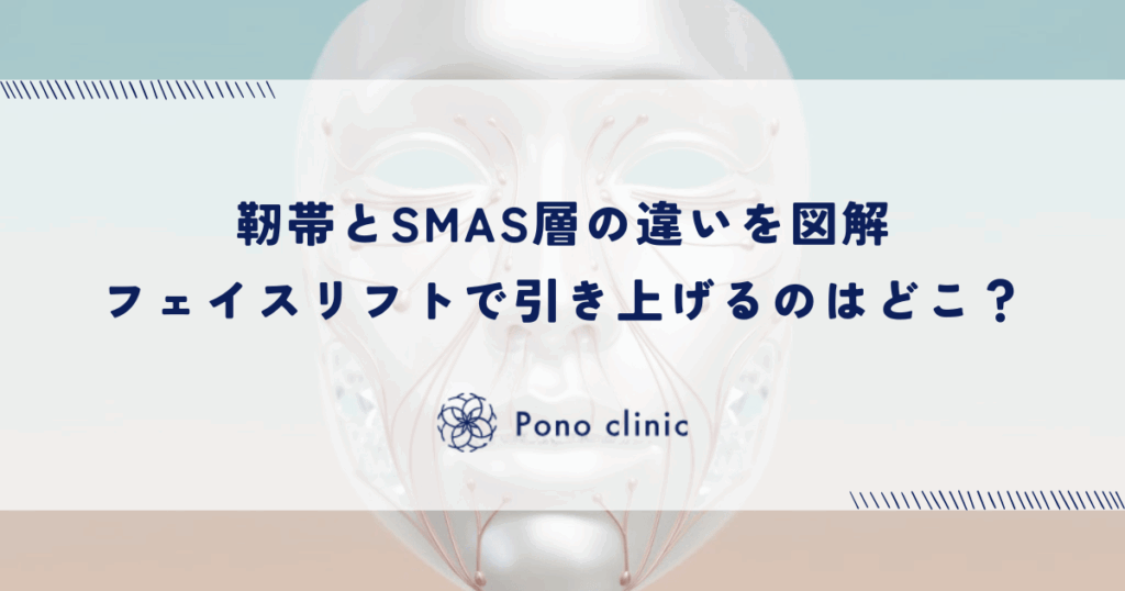 靭帯とSMAS層の違いを図解｜フェイスリフトで引き上げるのはどこ？