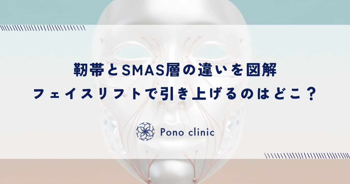 靭帯とSMAS層の違いを図解|フェイスリフトで引き上げるのはどこ?