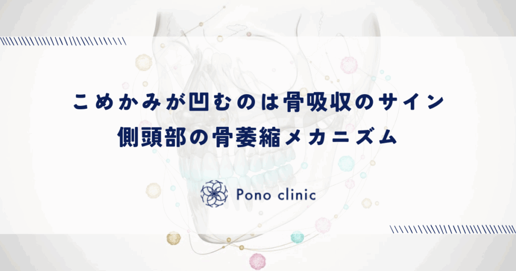 こめかみが凹むのは骨吸収のサイン｜側頭部の骨萎縮メカニズム