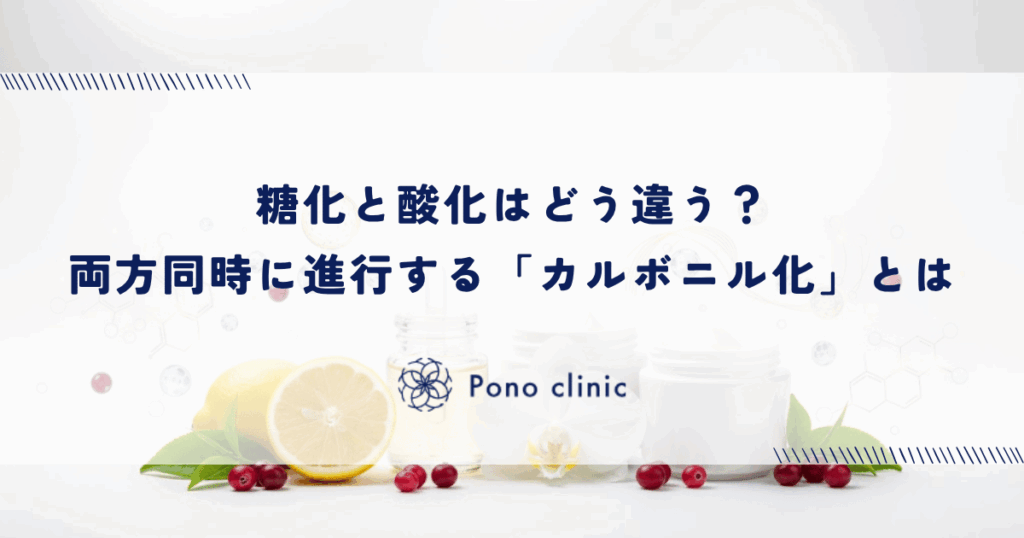 糖化と酸化はどう違う？両方同時に進行する「カルボニル化」とは