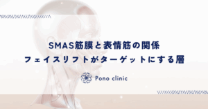 SMAS筋膜と表情筋の関係｜フェイスリフトがターゲットにする層
