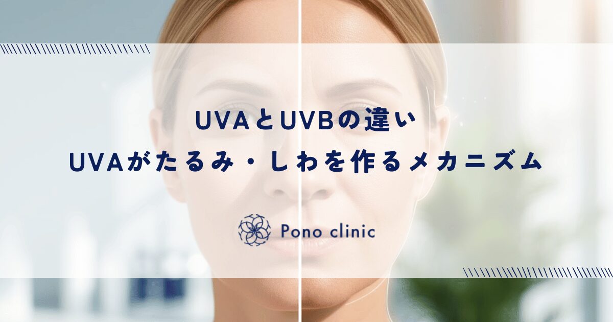 UVAとUVBの違い｜真皮に届くUVAがたるみ・しわを作るメカニズム