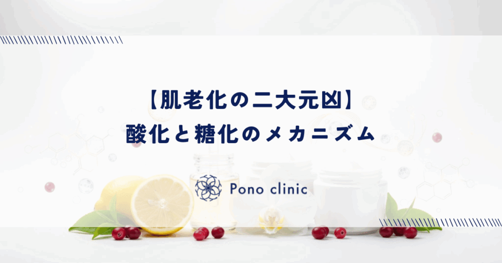 【肌老化の二大元凶】酸化と糖化のメカニズム|黄ぐすみ・たるみの原因を解説