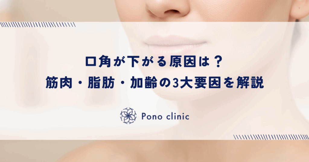 口角が下がる原因は？筋肉・脂肪・加齢の3大要因を解説