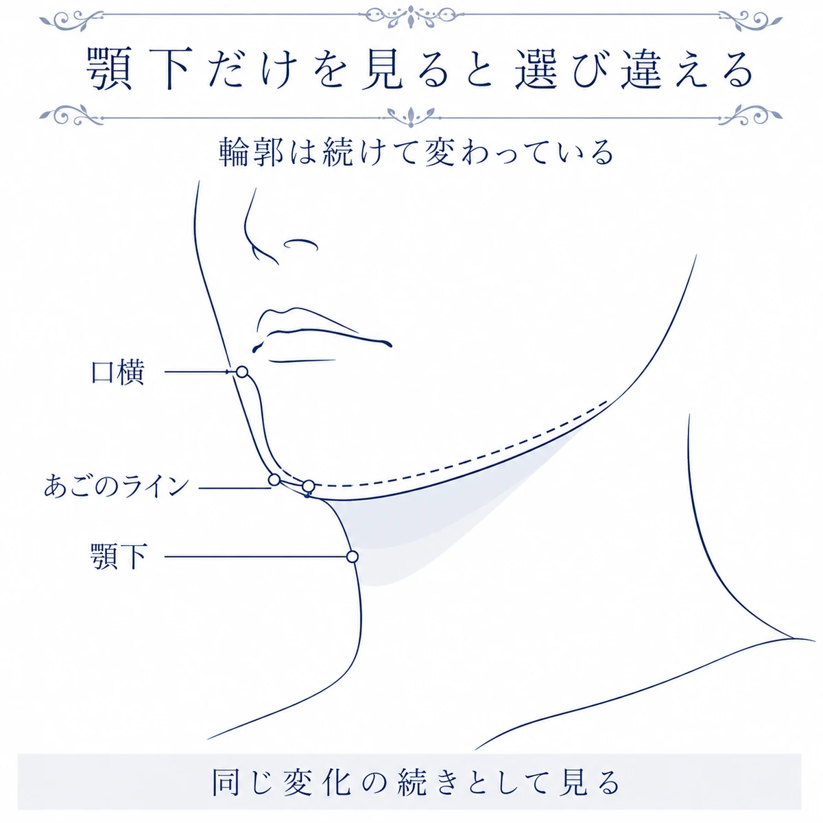 口横、あごのライン、顎下の変化がひと続きであることを斜め向きの顔で描いた図解