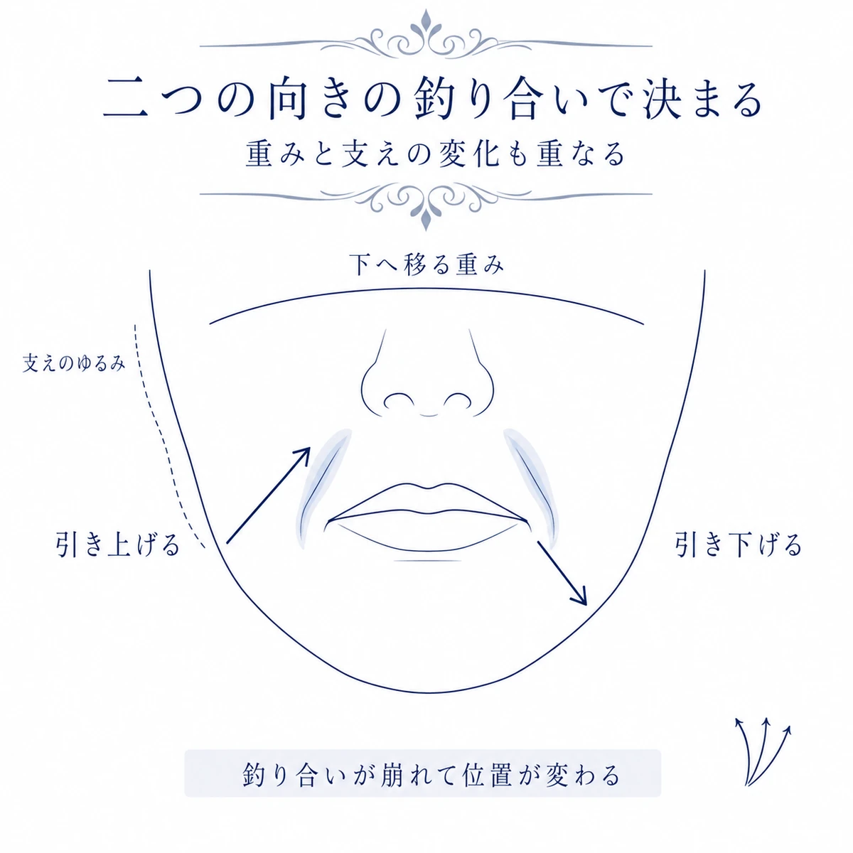 引き上げる力と引き下げる力、組織の重みや支えのゆるみが口角の位置に関わる様子