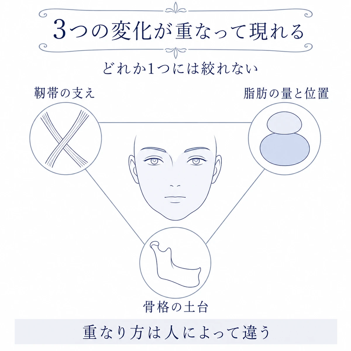 靭帯の支え、脂肪の量と位置、骨格の土台が顔の下半分を囲み、三要素の重なりを示す相関図