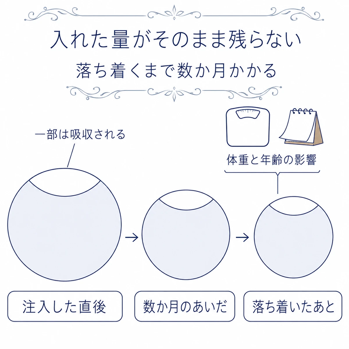 注入後の脂肪が数か月かけて減って落ち着き、その後も体重や加齢の影響を受ける経過図