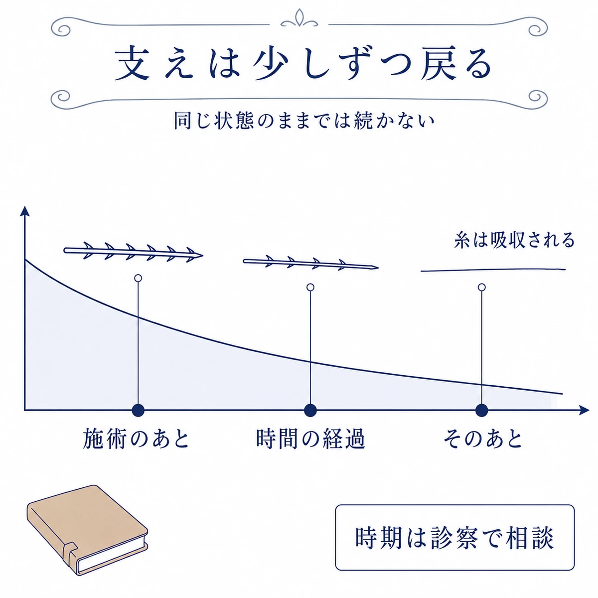 吸収される糸の変化と、支える力が時間とともに緩やかに低下する経過図